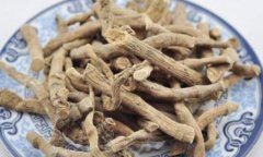 艾草根有什么功效
