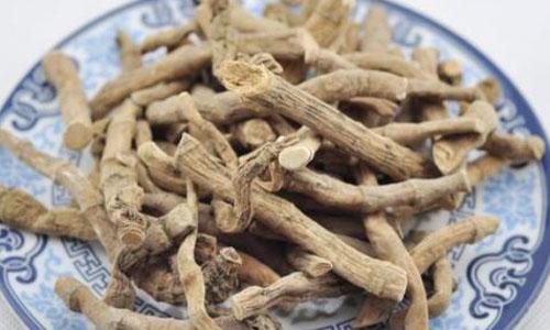艾草根