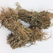 艾草根有什么作用
