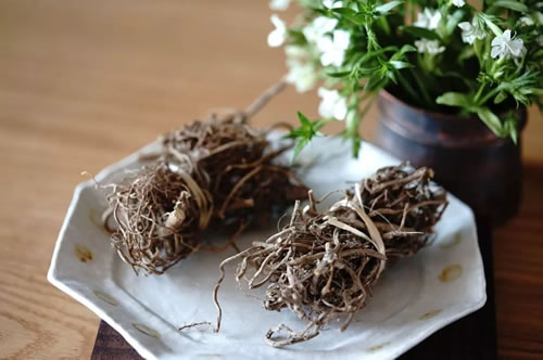<b>艾根_艾草根有什么功效</b>