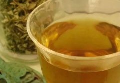 艾叶可以泡水喝吗