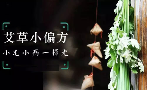 艾草小偏方毛病一扫光