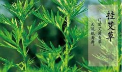 挂艾草有什么用