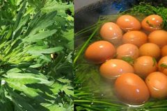 艾叶煮鸡蛋有什么作用