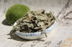 艾叶的用途很广泛