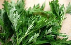 艾草煮水泡脚可去脚气吗