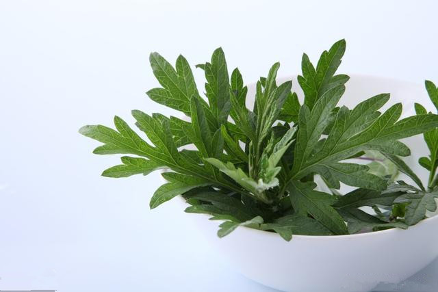 艾草功效养生