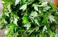 艾草和艾绒之间关系与区别