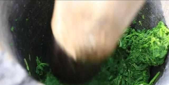 艾叶图片艾草图片