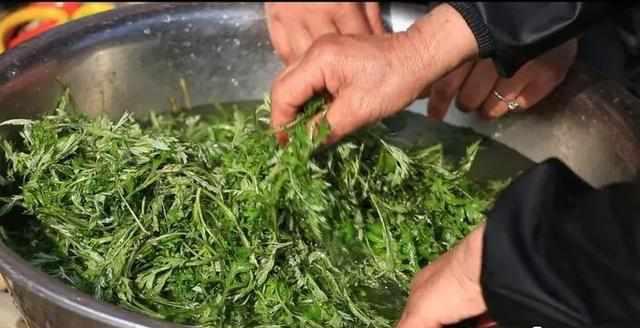 艾叶煮水治湿疹