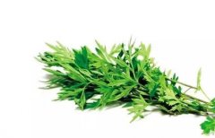 艾草的外用方法