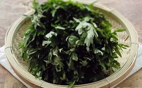 艾草能吃吗  