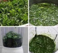 <b>新鲜艾草怎么吃</b>