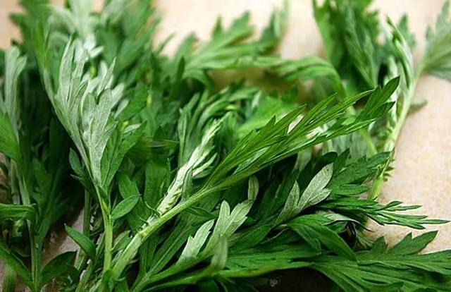 艾叶的食用方法  