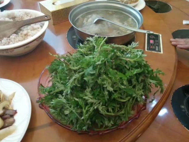 食用级艾草