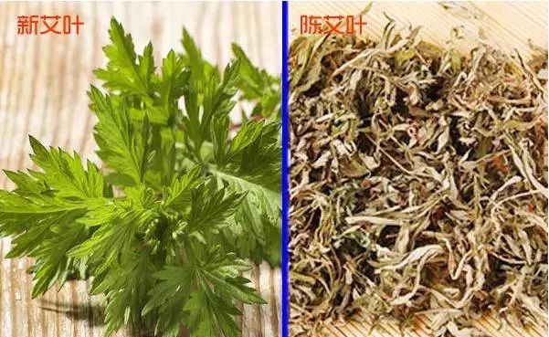 艾草艾绒到艾灸艾条艾灰过程