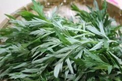 红陈艾的功效与作用