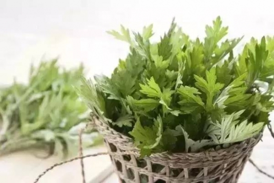 红陈艾的功效与作用