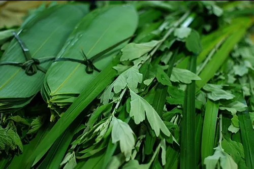 艾草菖蒲