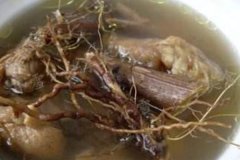 艾草根和鸡肉一起煲有什么作用