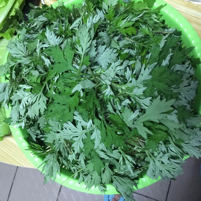 艾叶的功效