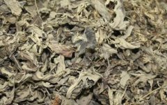 干艾草泡脚有什么作用,干艾草泡脚的方法