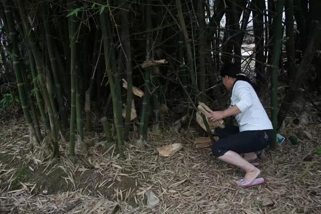 咸艾糍馅料