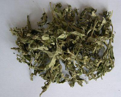 艾叶的用途至少有这7个!艾叶泡脚每人都适合吗?