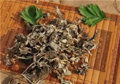 艾叶的用途至少有这7个!艾叶泡脚每人都适合吗