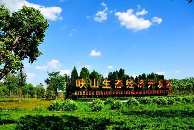 世界艾草产业大会