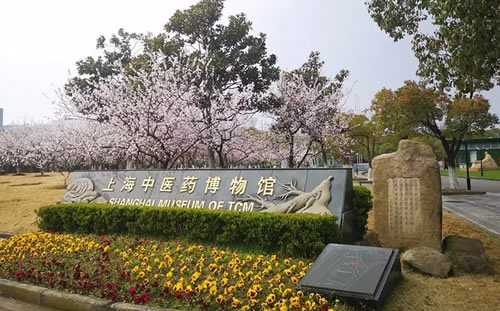 上海中医药博物馆
