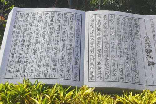 中医药博物馆