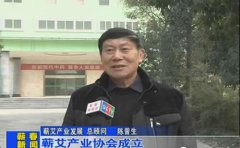 蕲艾产业协会成立,蕲艾产业发展步入规范化!