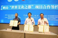 厉害了!山东潍坊获"世界艾灸之都"称号!