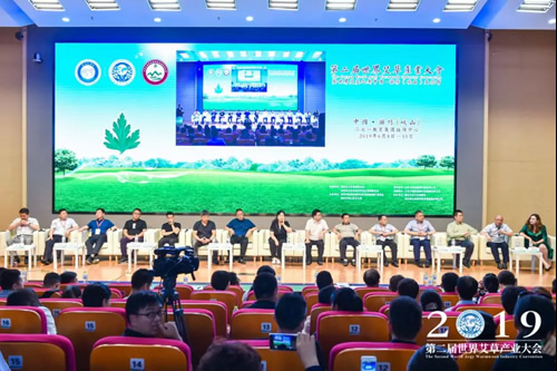 艾草产业大有可为:政府级高峰对话助推艾草产业蓬勃发展