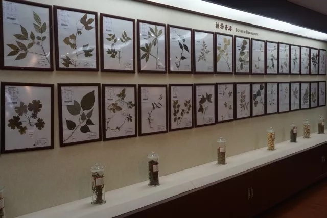 中医药博物馆