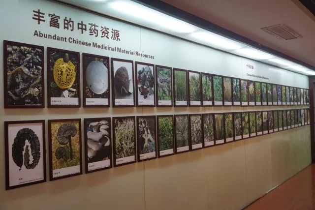中医药