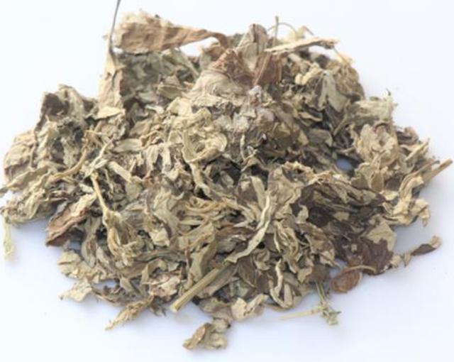 山野艾草成就蕲春艾草百亿产业