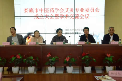 中医药学会艾灸专业委员会