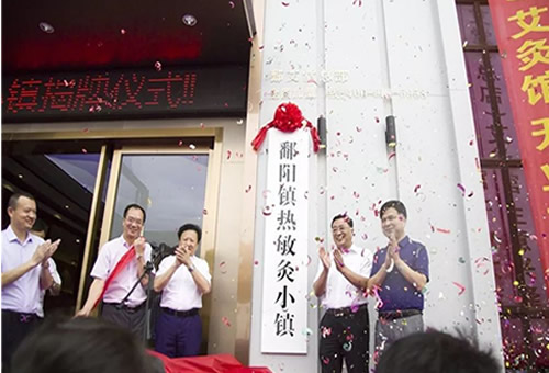 热敏灸产业发展推进会