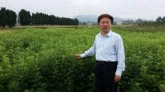 吴焕淦仁心仁术永传承
