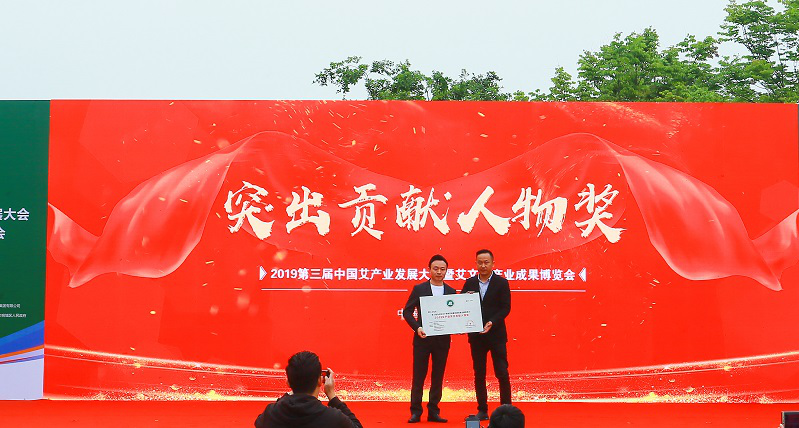 艾产业发展规划