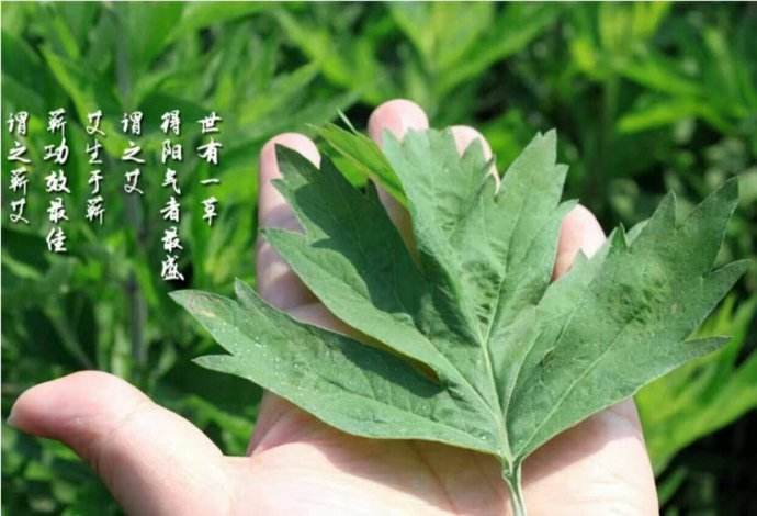 艾都