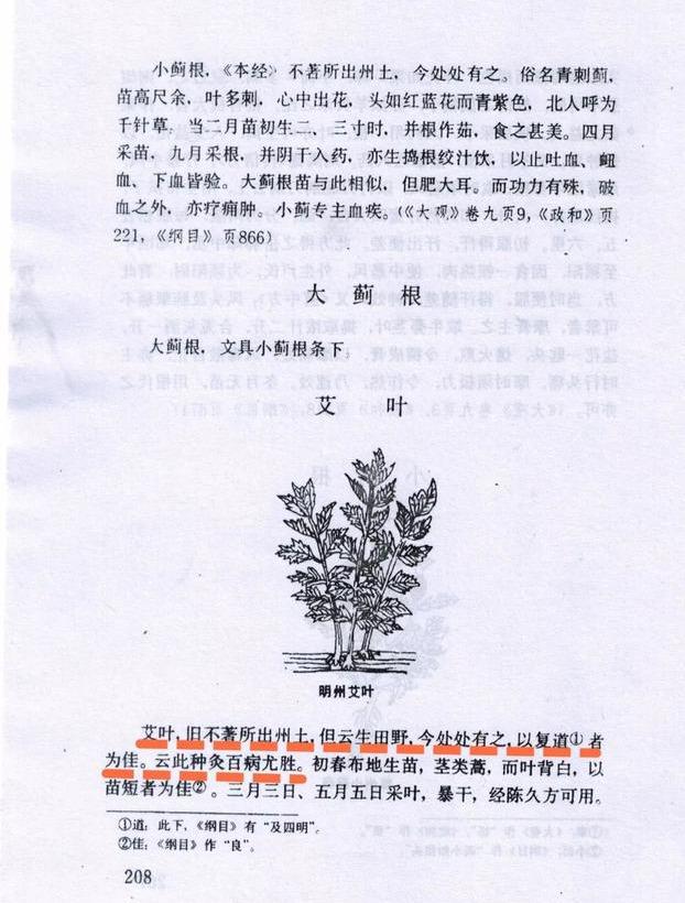 汤阴艾