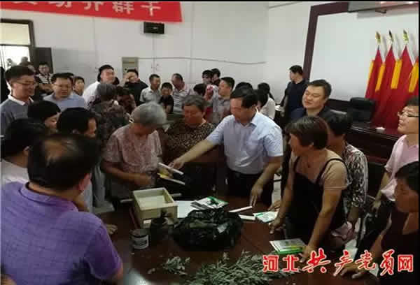 艾草加工