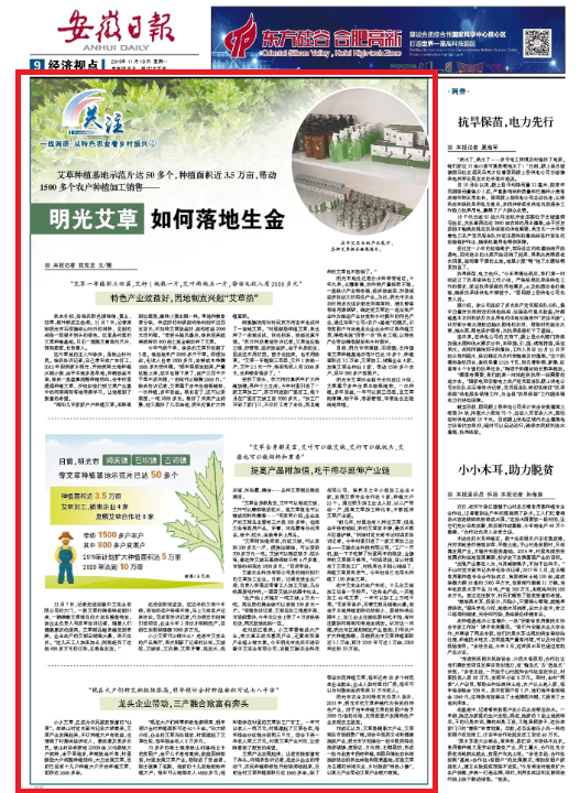 明光艾草 如何落地生金?