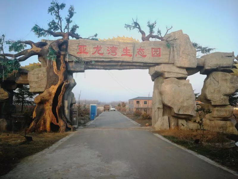 明光艾草,见证一个农业产业的崛起!