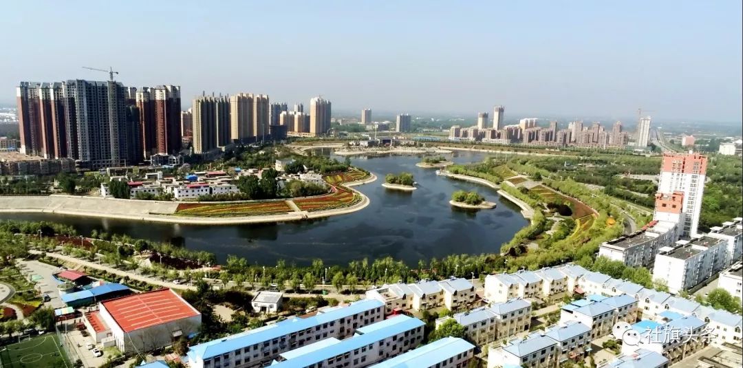 国医仲景让小小艾草渐成"扶贫大树"