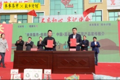 走进山东莒县,艾草飘香带动产业扶贫!