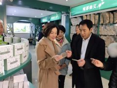 调研南阳艾草产业"一乡一品"产品认证